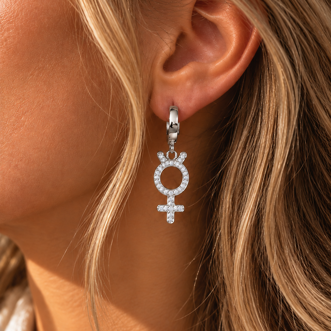 Astra rebel silver earrings
