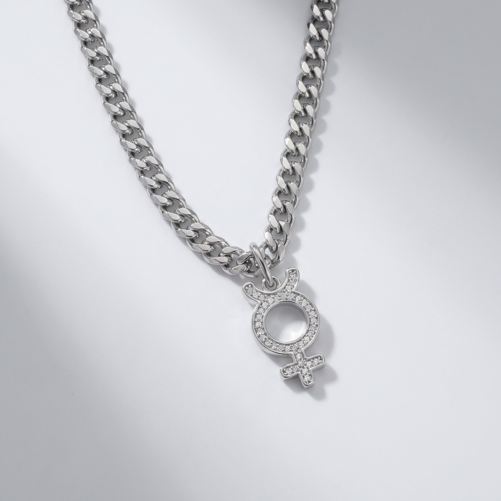 Astra rebel silver necklace