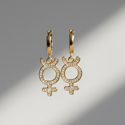 Astra rebel gold earrings