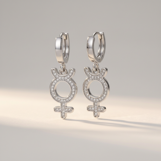 Astra rebel silver earrings